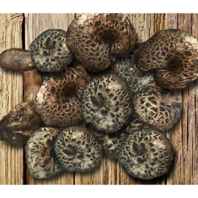 능이버섯 티벳농부 냉동 능이버섯 10kg, 1개, C급 10kg