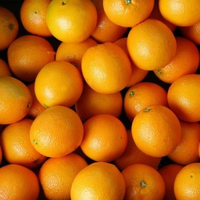 퓨어스펙 오렌지 오렌지 8kg 고당도 블랙라벨 퓨어스펙 오랜지 진맛깔