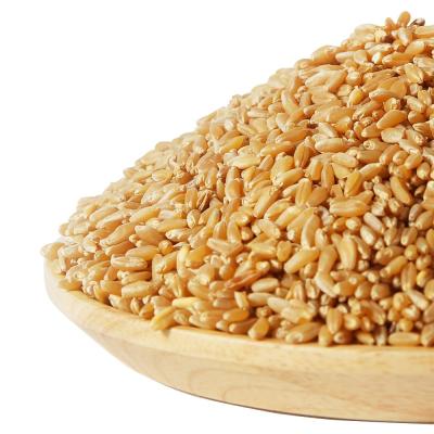 카무트쌀 건강중심 2022년산 호라산밀 2kg, 1개입, 2kg
