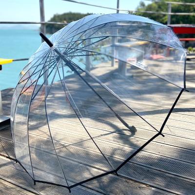 투명우산 1+1 고급 투명우산 16살대 튼튼한 비닐우산 프리미엄 예쁜 장우산